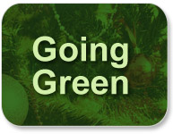 Going Green