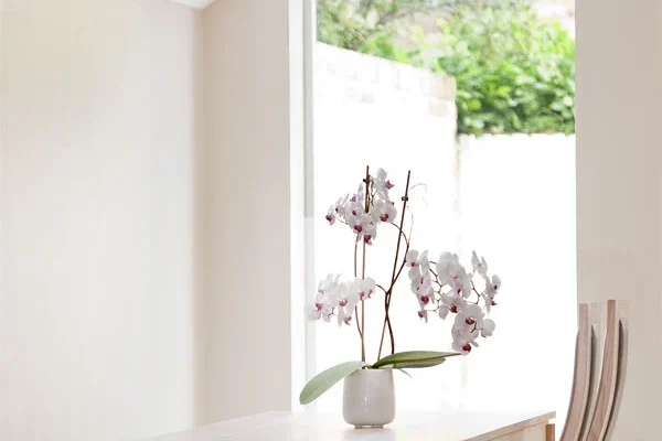Side Return Extension in Hounslow, W4, by Build Team (photo 11)