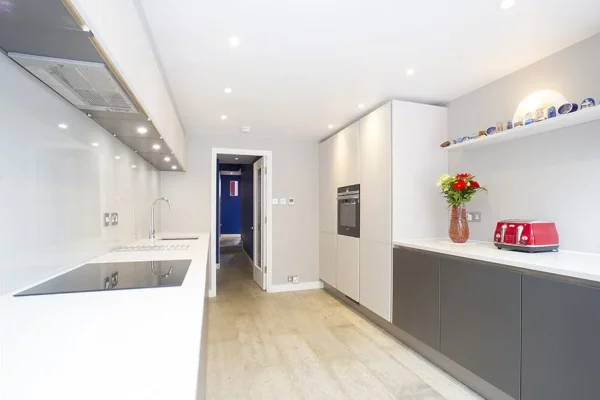 Side Return Extension in Lewisham, SE14, by Build Team (photo 5)